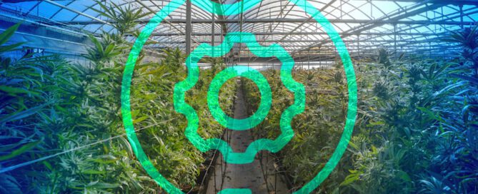 Cloud-based cannabis odor control