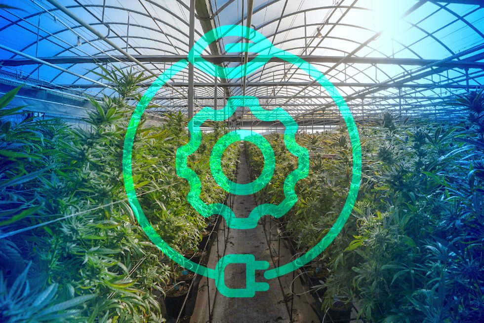 Cloud-based cannabis odor control