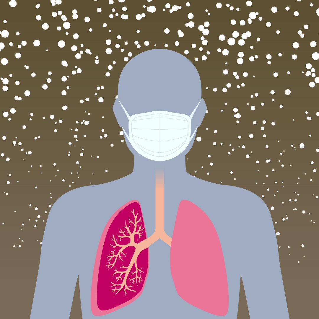 Particulate Matter